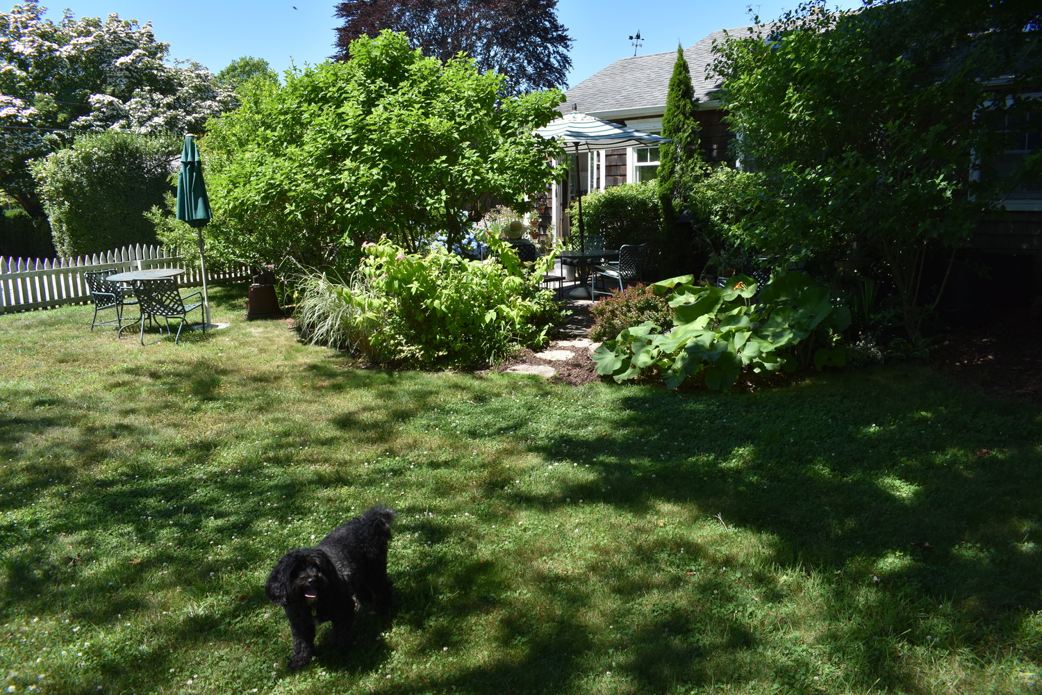 Jane Iselin's garden. BRENDAN J. O'REILLY