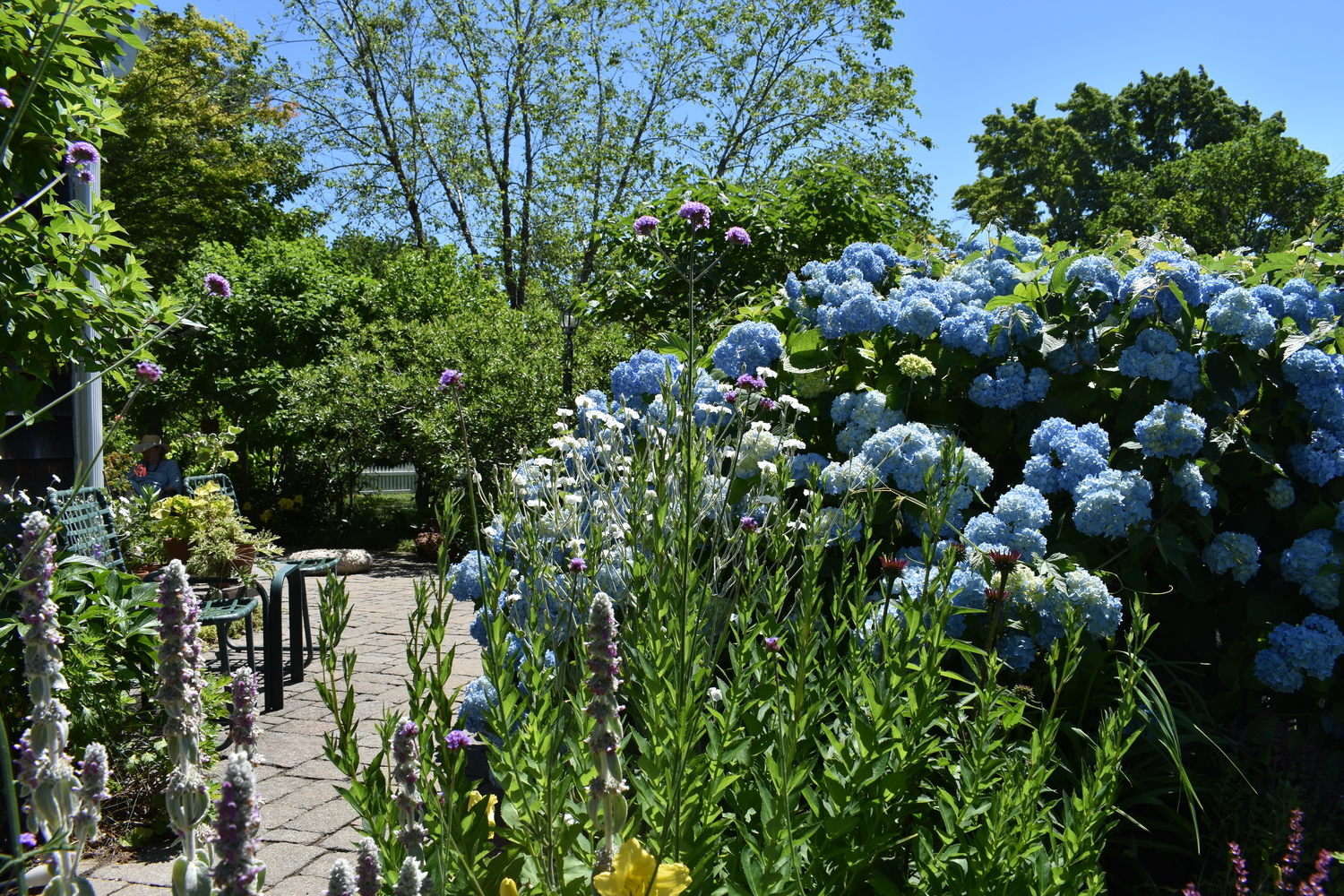 Jane Iselin's garden. BRENDAN J. O'REILLY