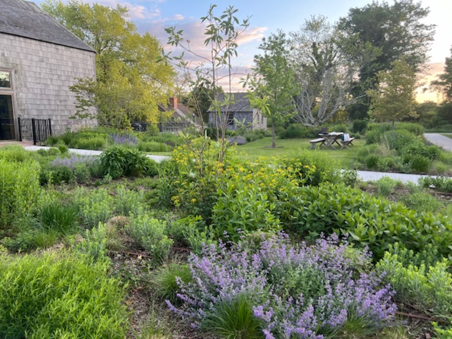 The Community Pollinator Garden as of May 30, 2024. GAIL PELLETT.