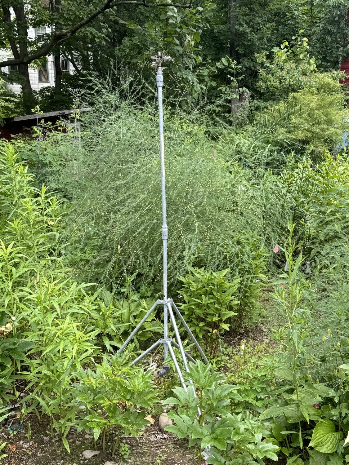 A tower or tripod impact sprinkler can reach over the foliage of a crowded garden.  Depending on the head, you can produce a fine spray over a small area or cover a circle up to 30 feet in diameter. The downside is that this is a very inefficient way to water plants. Expect to pay over $150, and remember the taller the tower the more it will wobble. Some are height adjustable.   ANDREW MESSINGER
