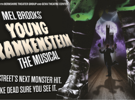 Mel Brooks' Young Frankenstein The Musical