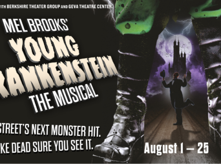 Mel Brooks' Young Frankenstein The Musical Previews