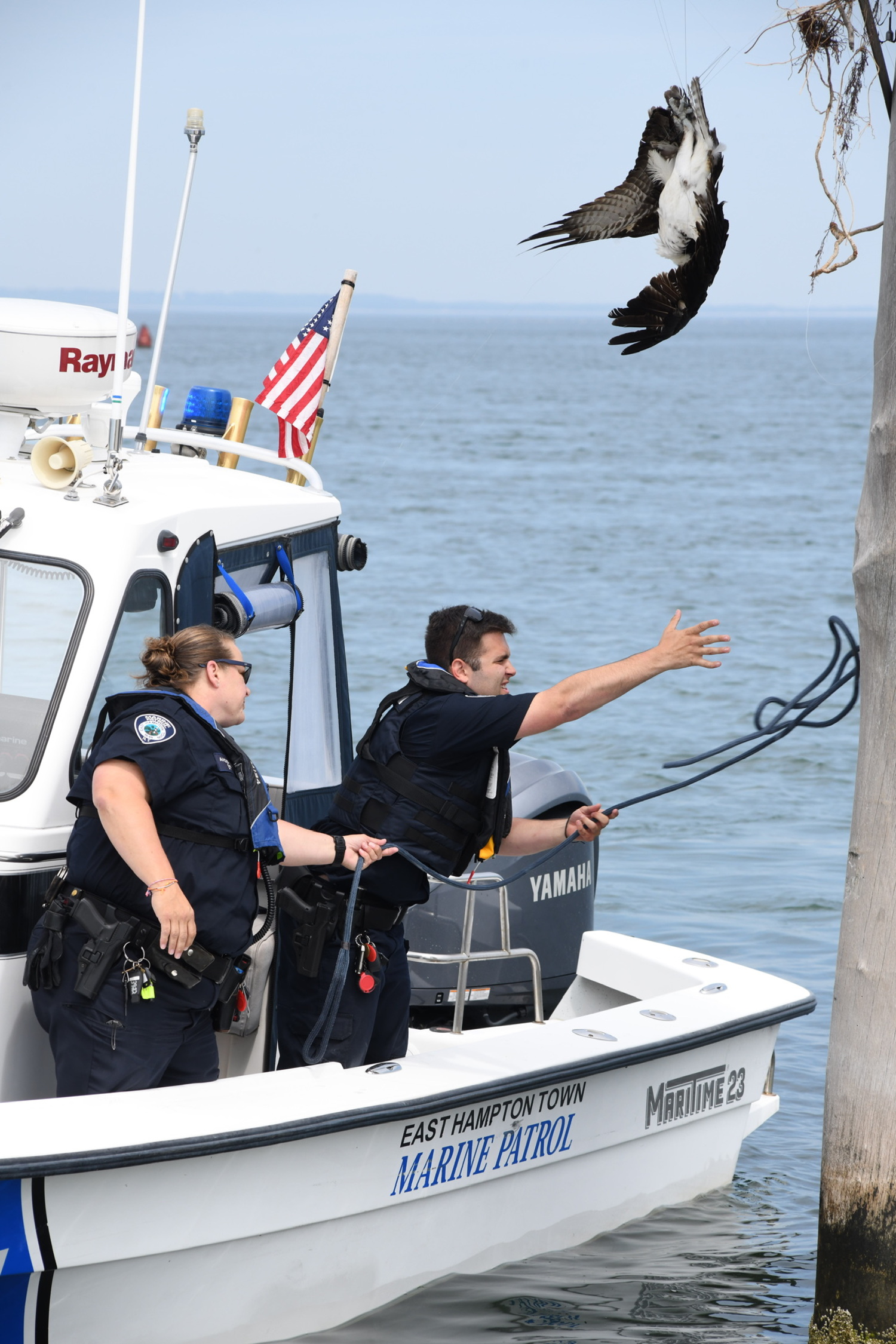 East Hampton Town Police Marine Patrol provided a boat to a wildlife rescue volunteer to get at the osprey. DOUG KUNTZ