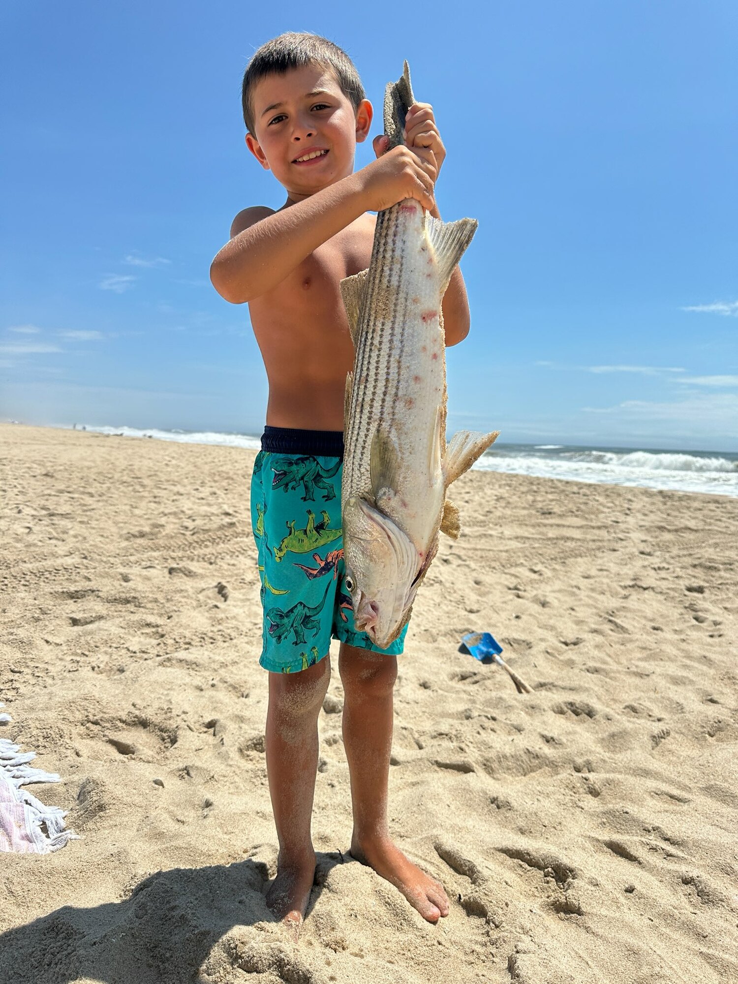 Brody Mannino caught himself a nice striped bass from the beach in Bridgehampton recently.