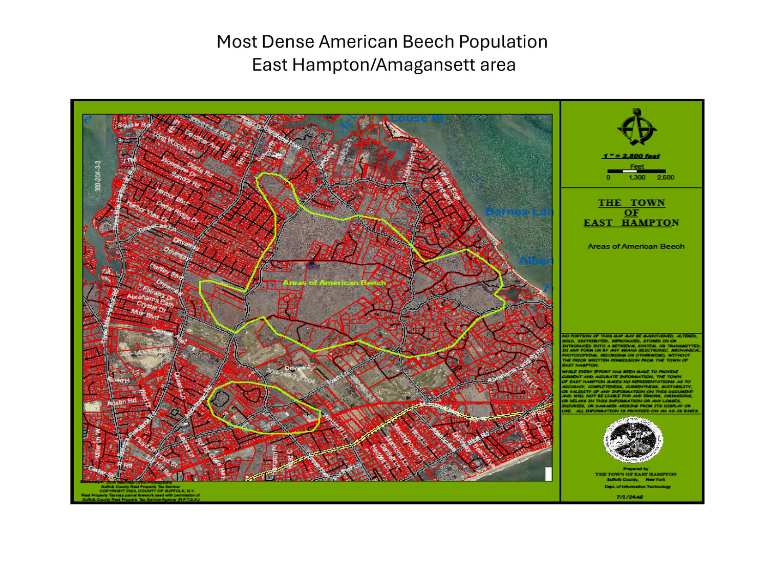 The area in East Hampton and Amagansett with the most dense Beech Tree population.  COURTESY EAST HAMPTON TOWN