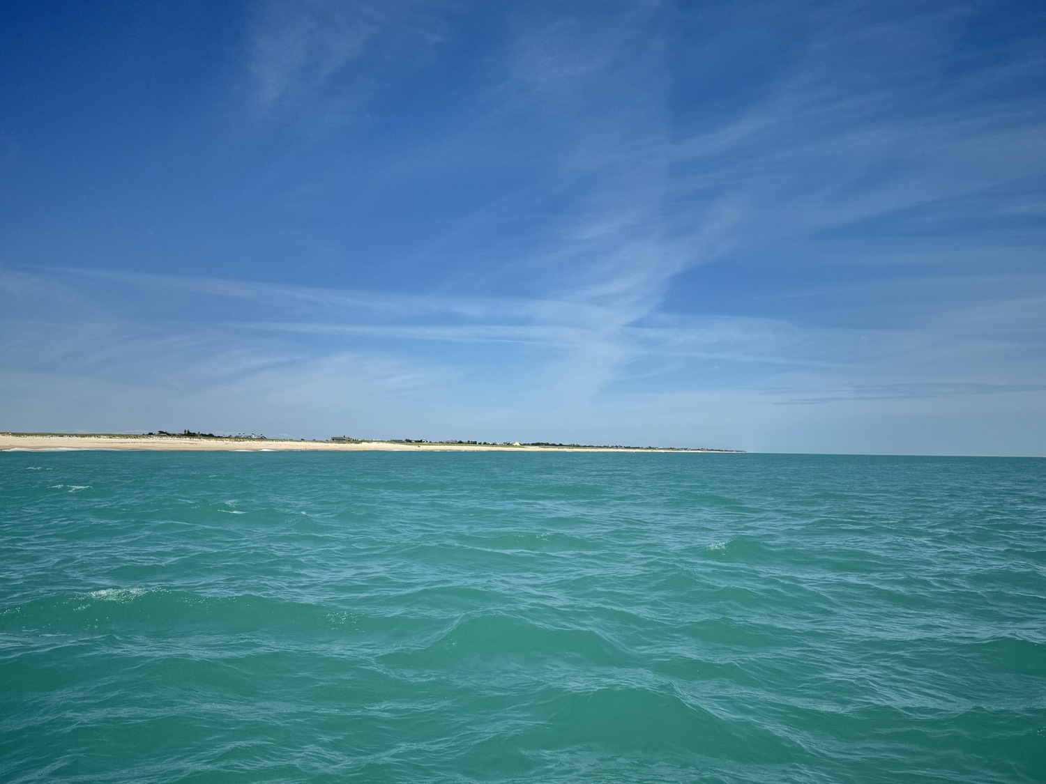 Marine scientists believe that a rare bloom of oceanic phytoplankton is the reason for the turquoise color of the ocean off the Long Island's coastline in recent weeks. The bloom was likely sparked by sustained strong winds in late June that stirred up nutrients usually on the sea floor, feeding an explosion in the numbers of a specific species of plankton that have a chalky calcium exoskeleton and have been known to tint waters a similar color in other areas.