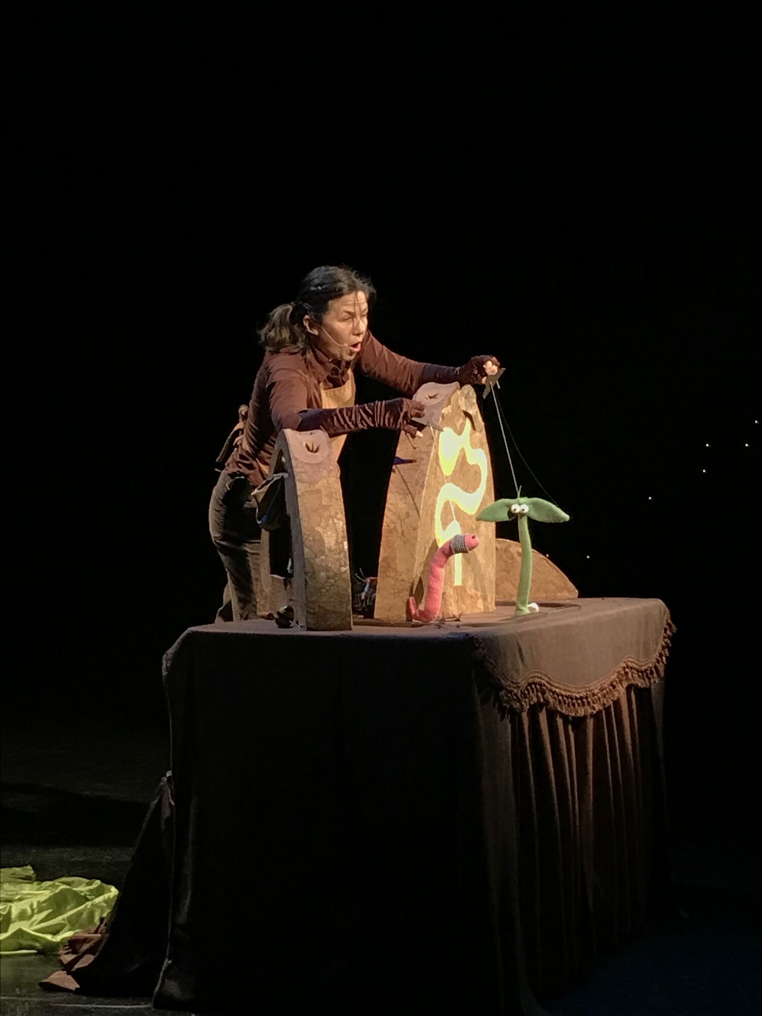 Liz Joyce of Goat on a Boat Puppet Theatre performs “The Chicken Show & Puppet Making Workshop” at LTV Studios on August 19. LINDSAY MORRIS