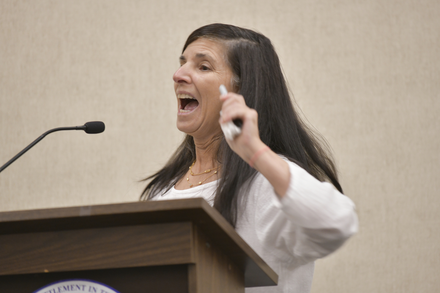 Hampton Bays resident Gayle Lombardi  speaks at Tuesday night's meeting.  DANA SHAW