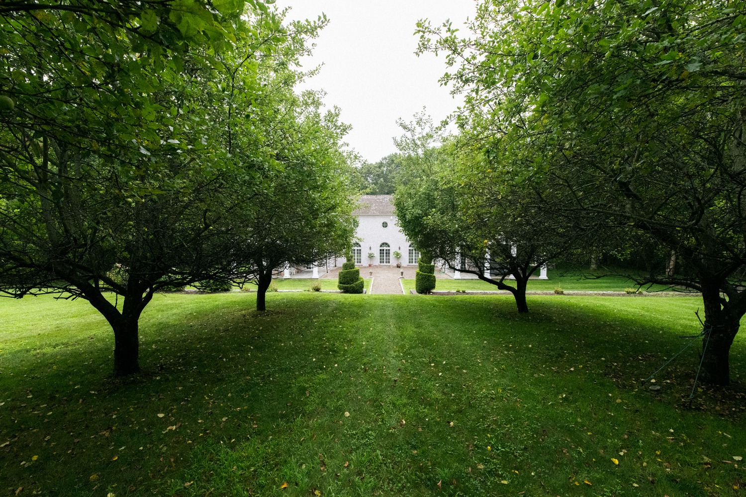 An apple orchard walkway exudes serene country living and simplicity. MACRAE MARRAN