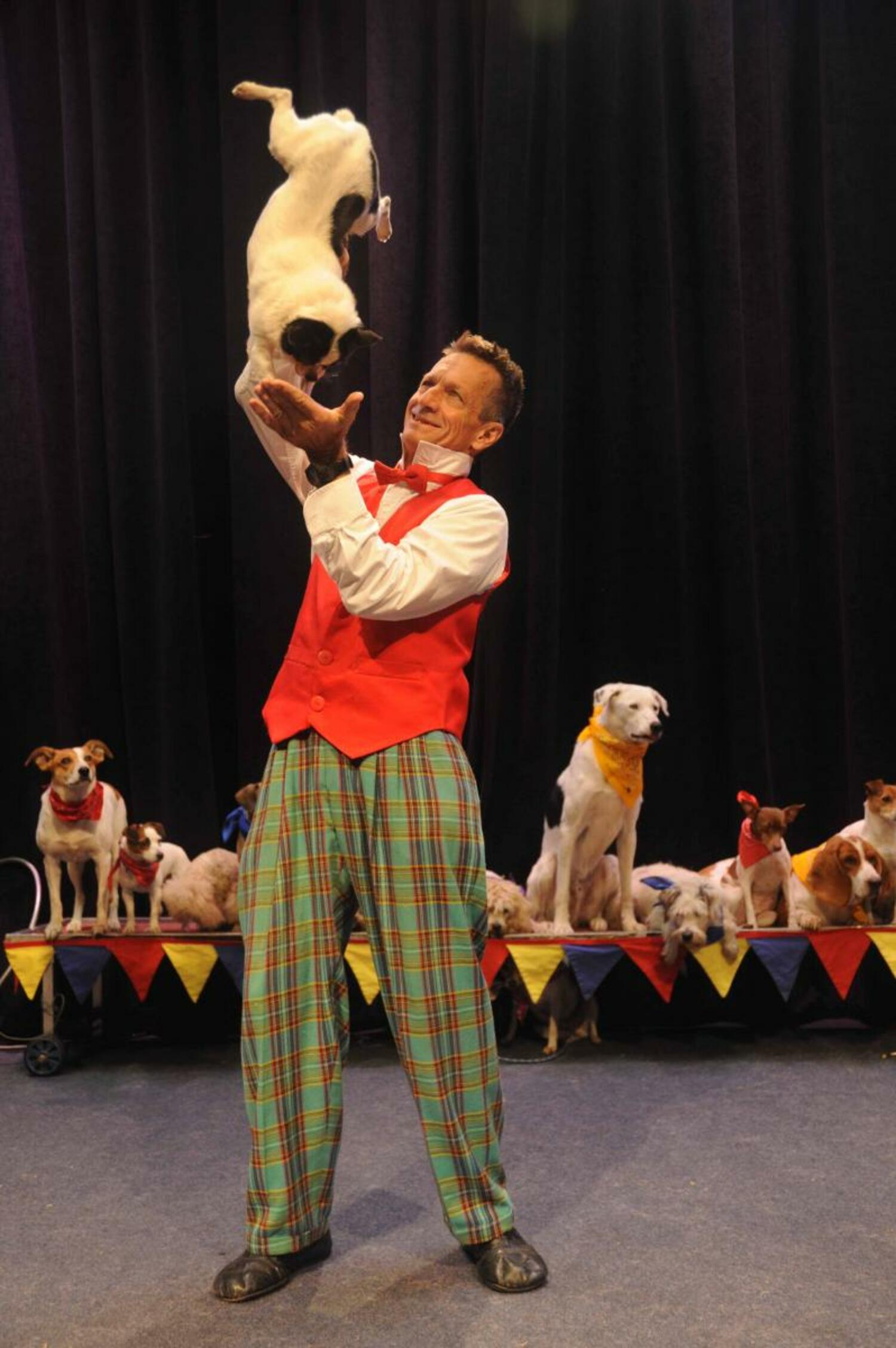 Johnny Peers and the Muttville Comix perform at LTV Studios on  August 16. COURTESY LTV