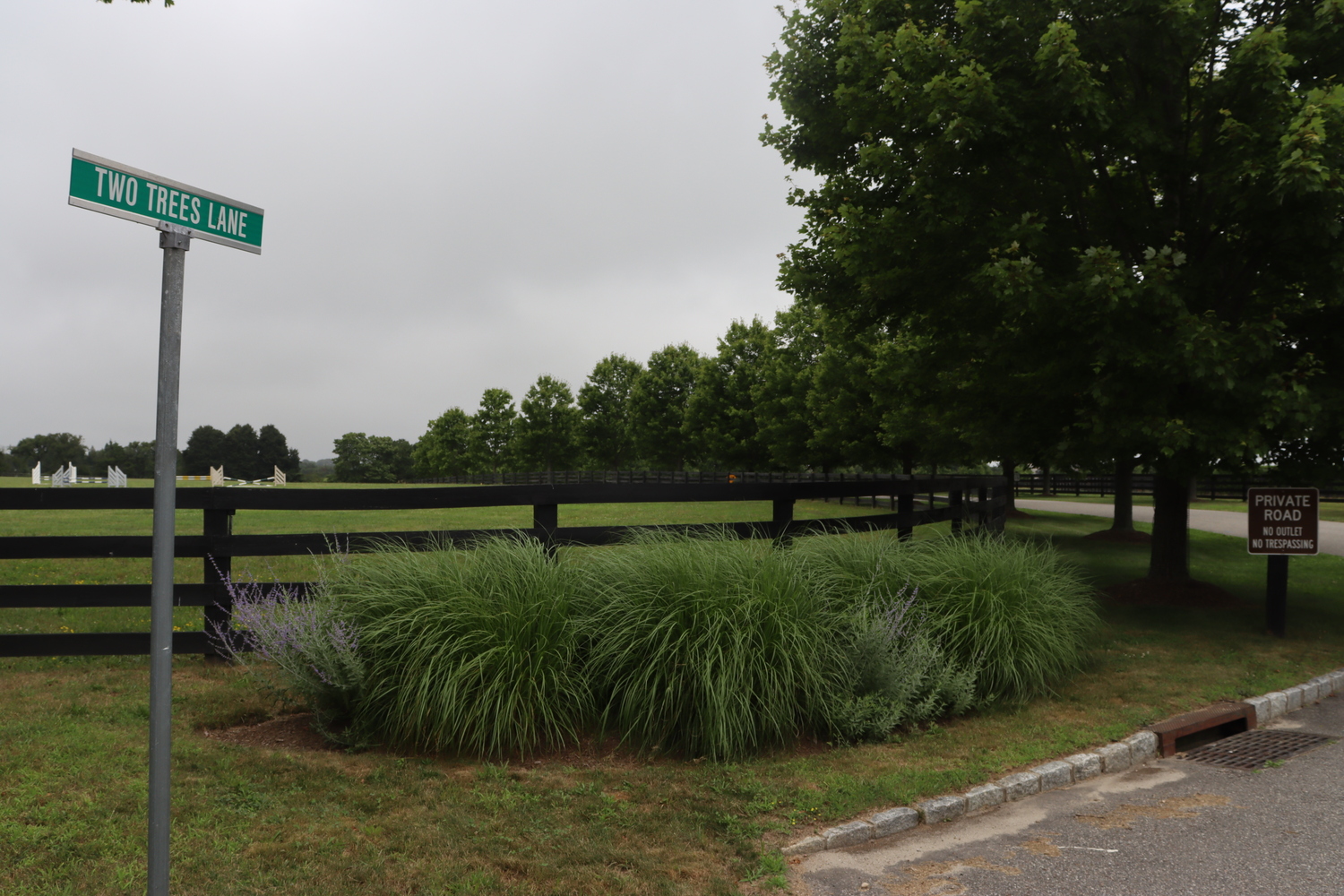 The homeowners association on Two Trees Lane has brought a lawsuit against the owners of Two Trees Stables, alleging that they are violating covenants and restrictions that were put in place when the property was subdivided in 2012.  CAILIN RILEY