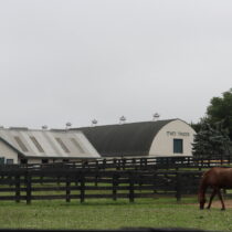 The homeowners association on Two Trees Lane has brought a lawsuit against the owners of Two Trees Stables, alleging that they are violating covenants and restrictions that were put in place when the property was subdivided in 2012.  CAILIN RILEY