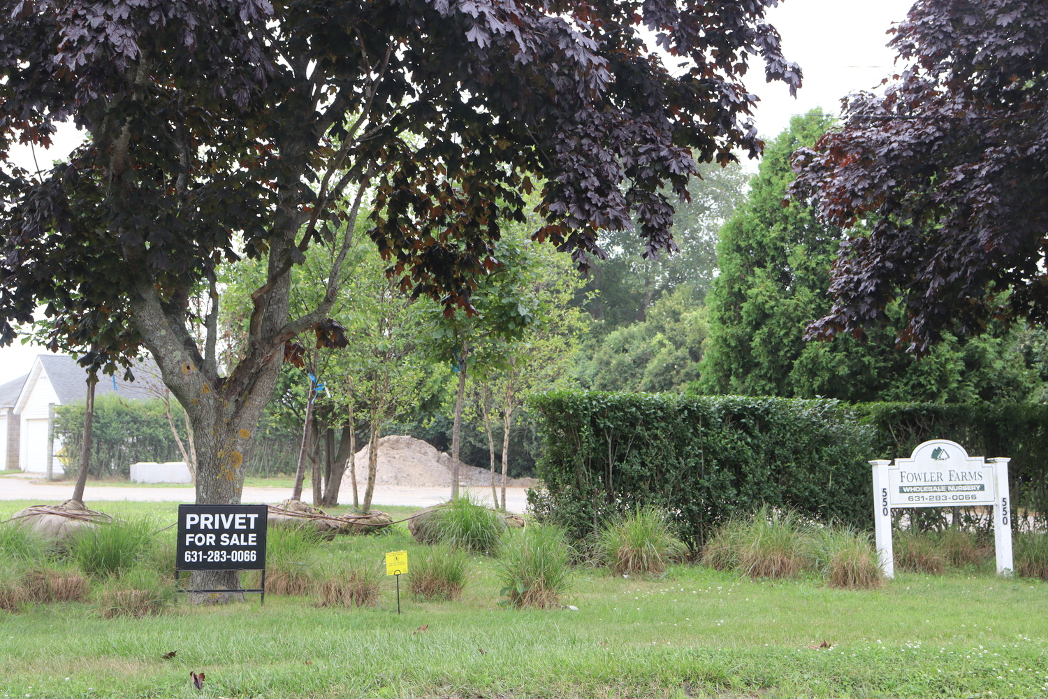 The Fowler family's proposed seven-lot subdivision with an agricultural reserve at 560 Wickapogue Lane is still before the Southampton Village Planning Board, and the family is hoping it can move forward. CAILIN RILEY