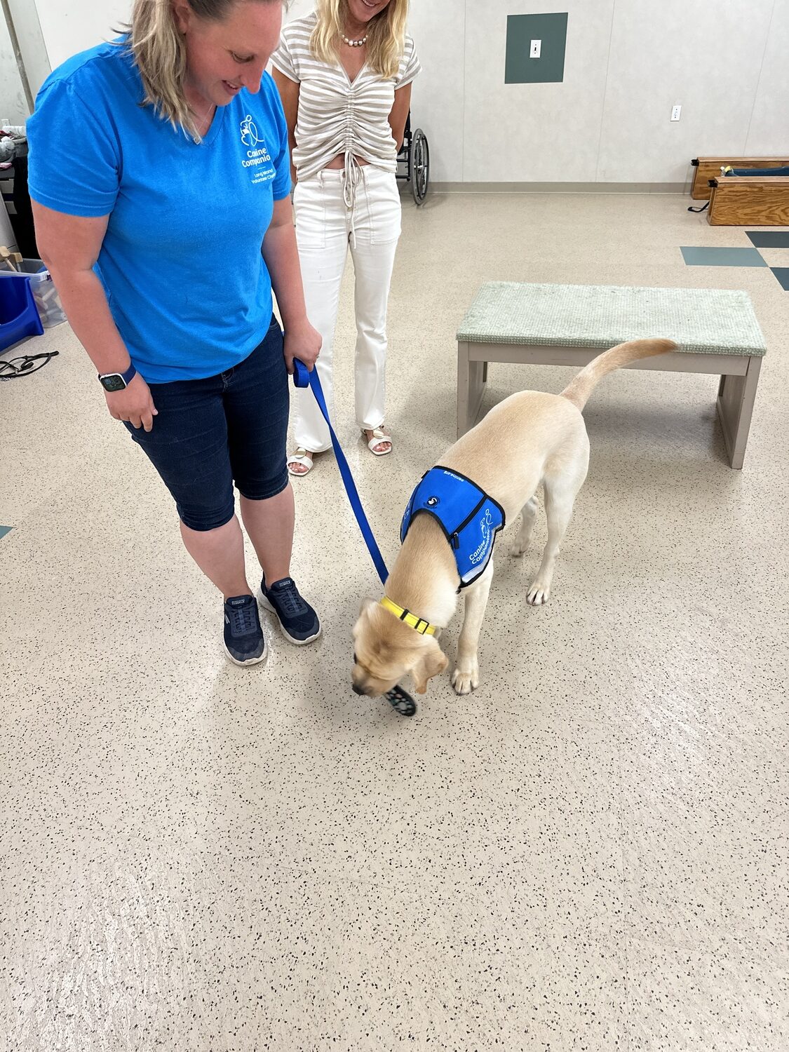 A dog at the Northeast Training Center picking up a remote control, one of the many commands and actions the service dogs are taught. DAN STARK