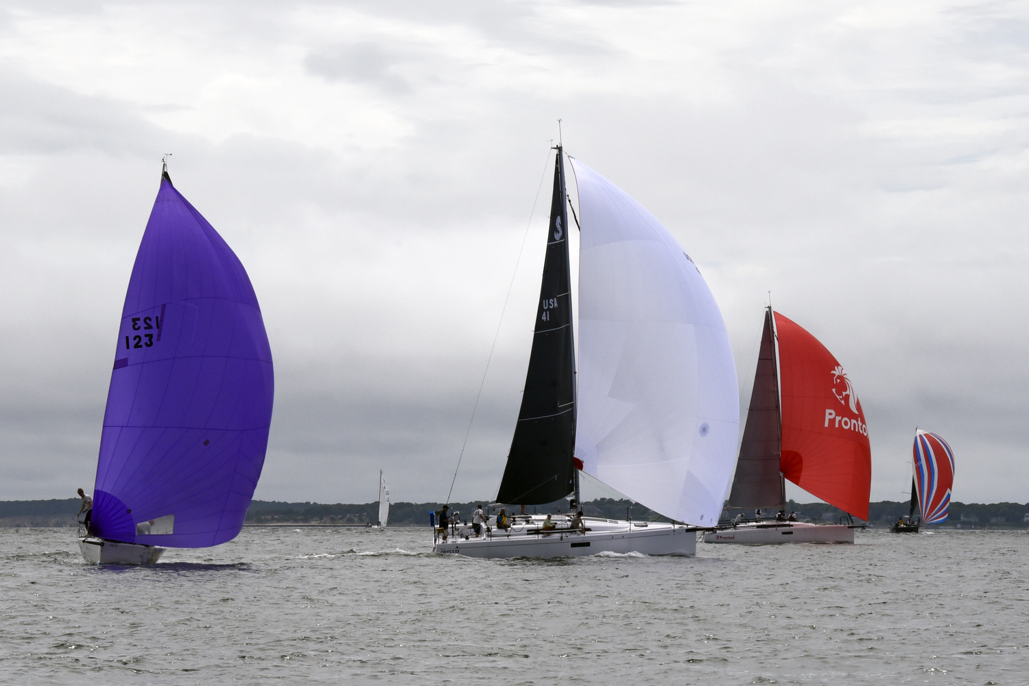 Purple Haze, far left, Odyssey, Pronto! Obsidian racing toward South Ferry.  MICHAEL MELLA