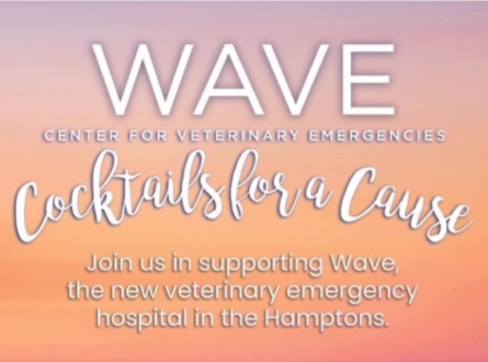 WAVE: Cocktails for a Cause