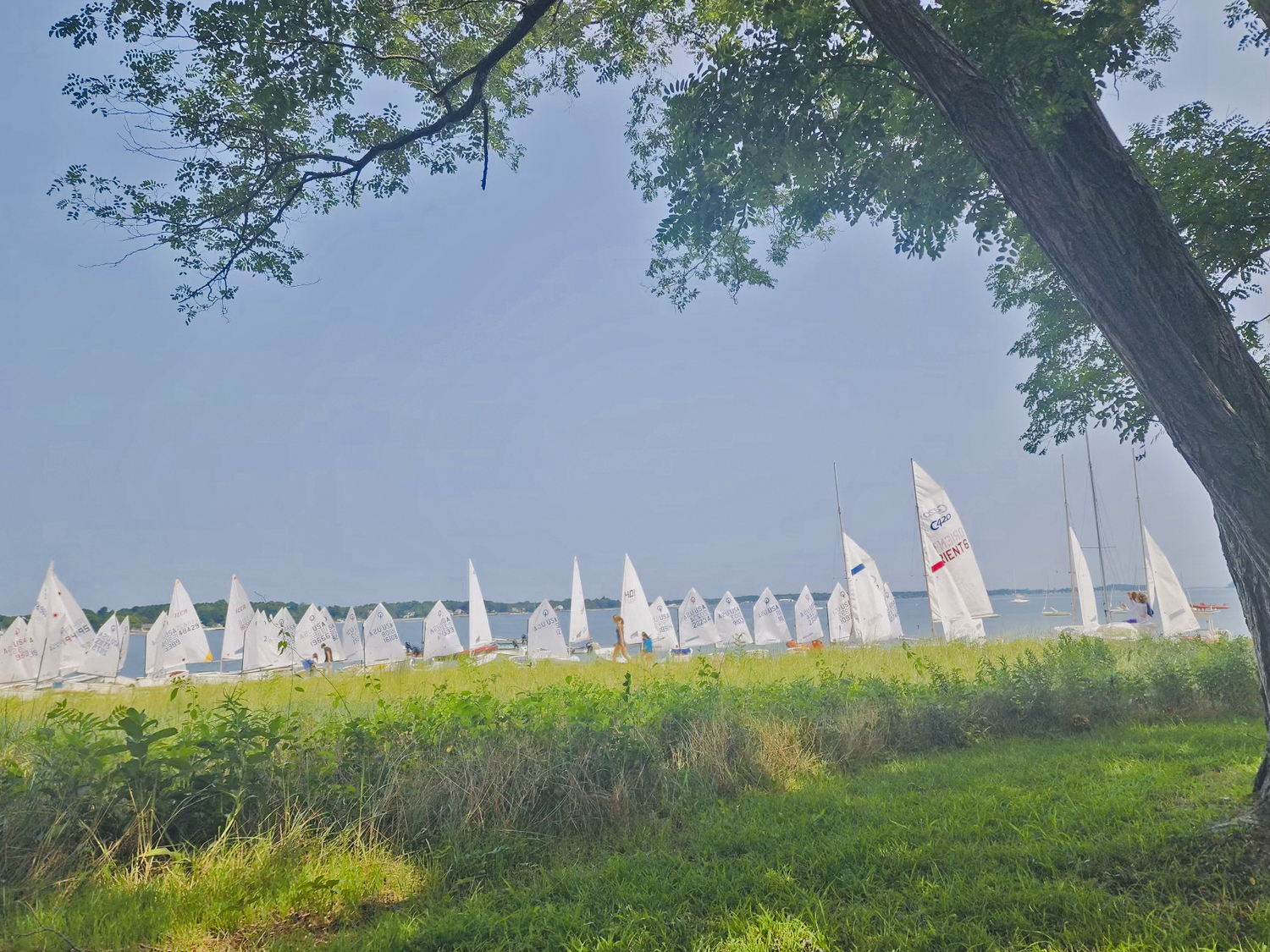 Southold Yacht Club hosted this year's PGJSA Championships on Thursday, August 15.   COURTESY SOUTHOLD YACHT CLUB