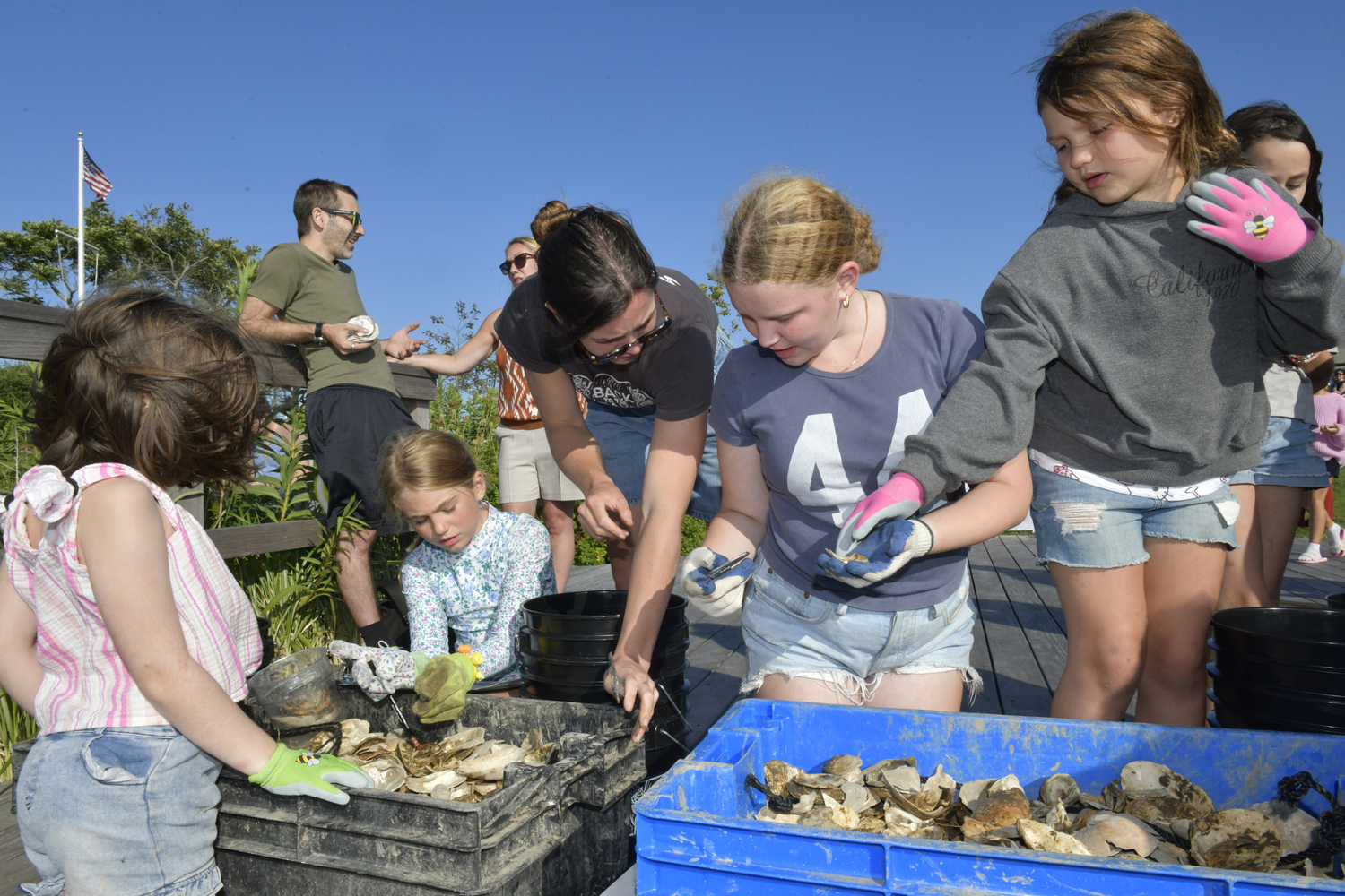 Kids sort through oyster shells looking for seedlings to transfer to the bay.  DANA SHAW