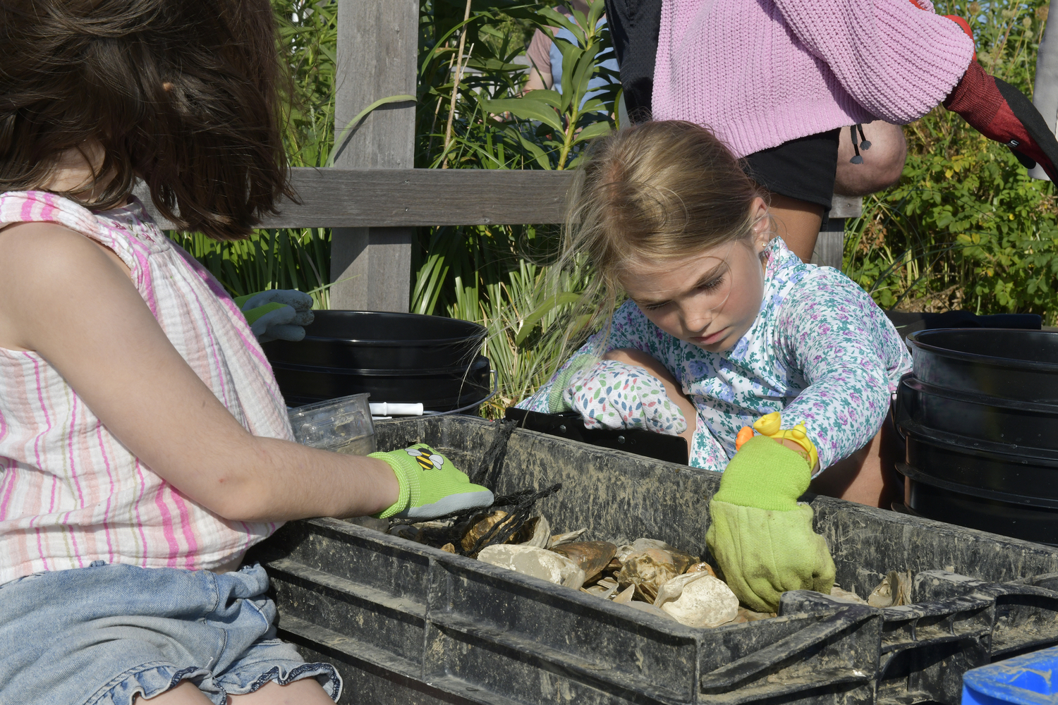 Tabitha Kelly sorts through oyster shell at the 