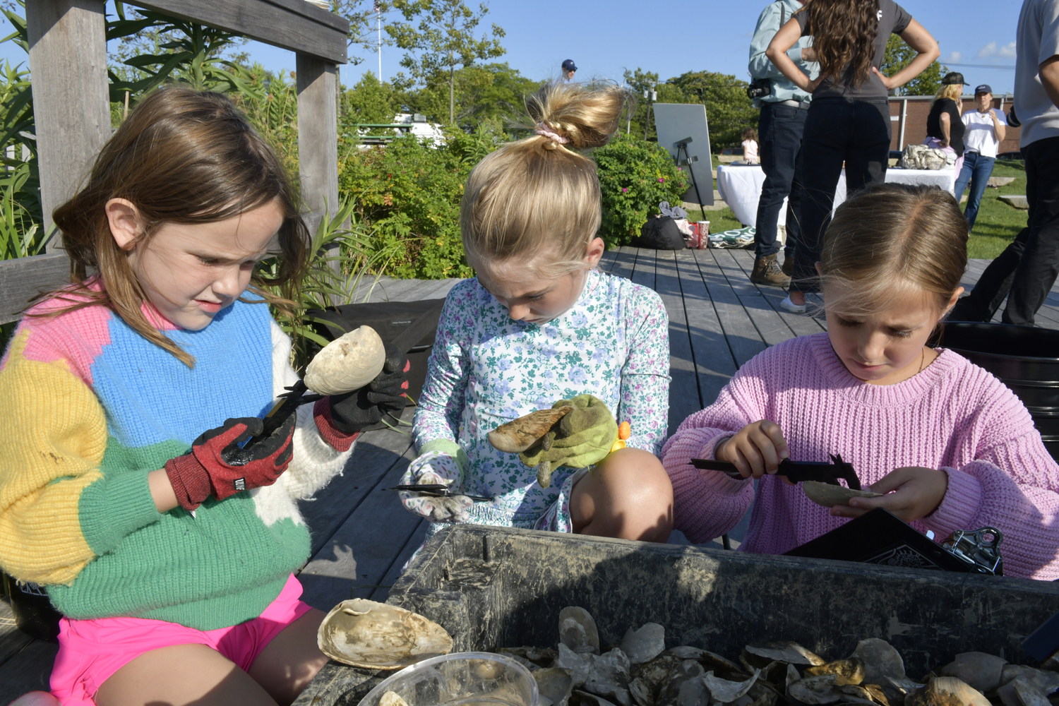 Kids sort through oyster shells looking for seedlings to transfer to the bay.  DANA SHAW