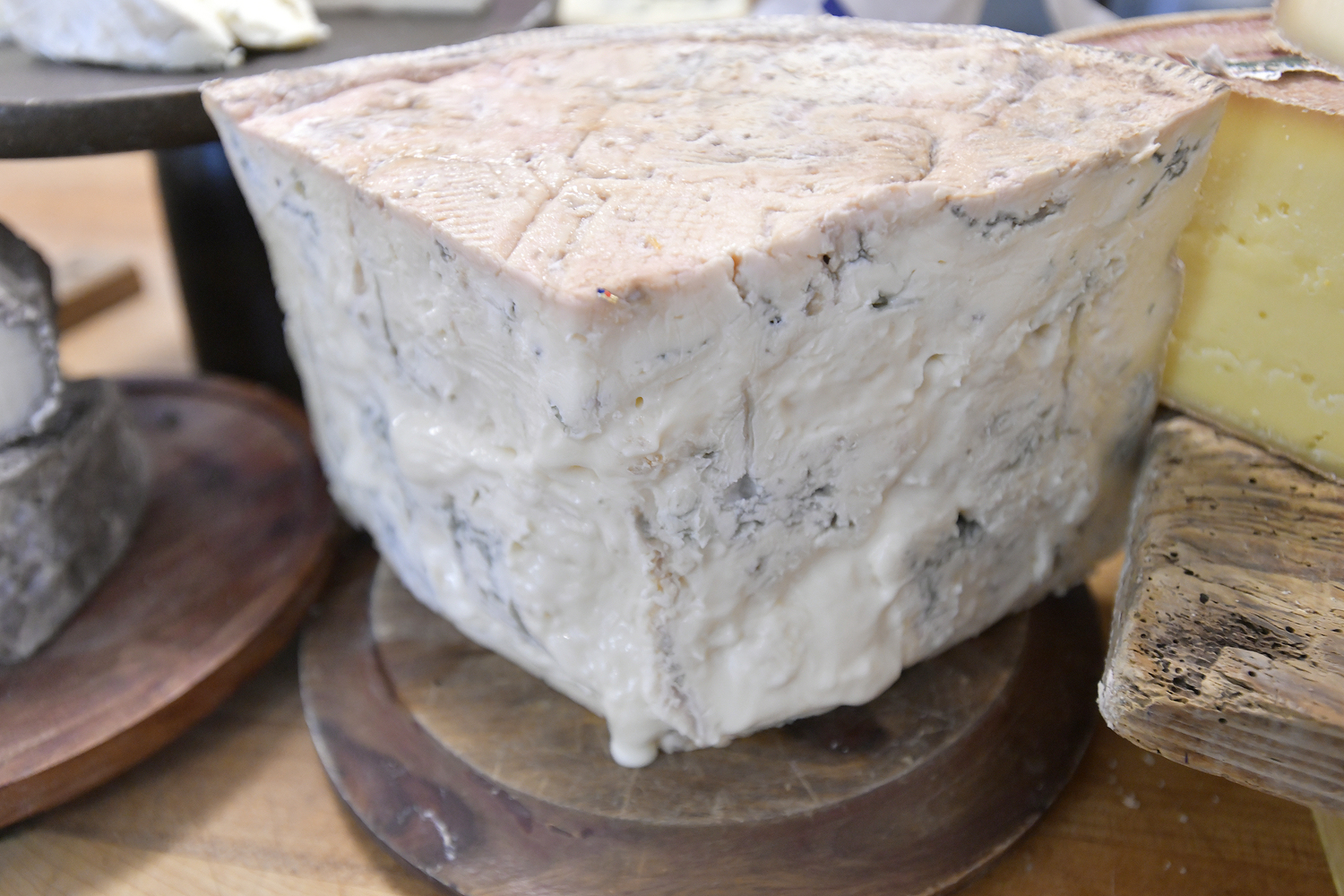 Various cheeses at Michael at Cavaniola’s Gourmet Cheese Shop in Sag Harbor.  DANA SHAW