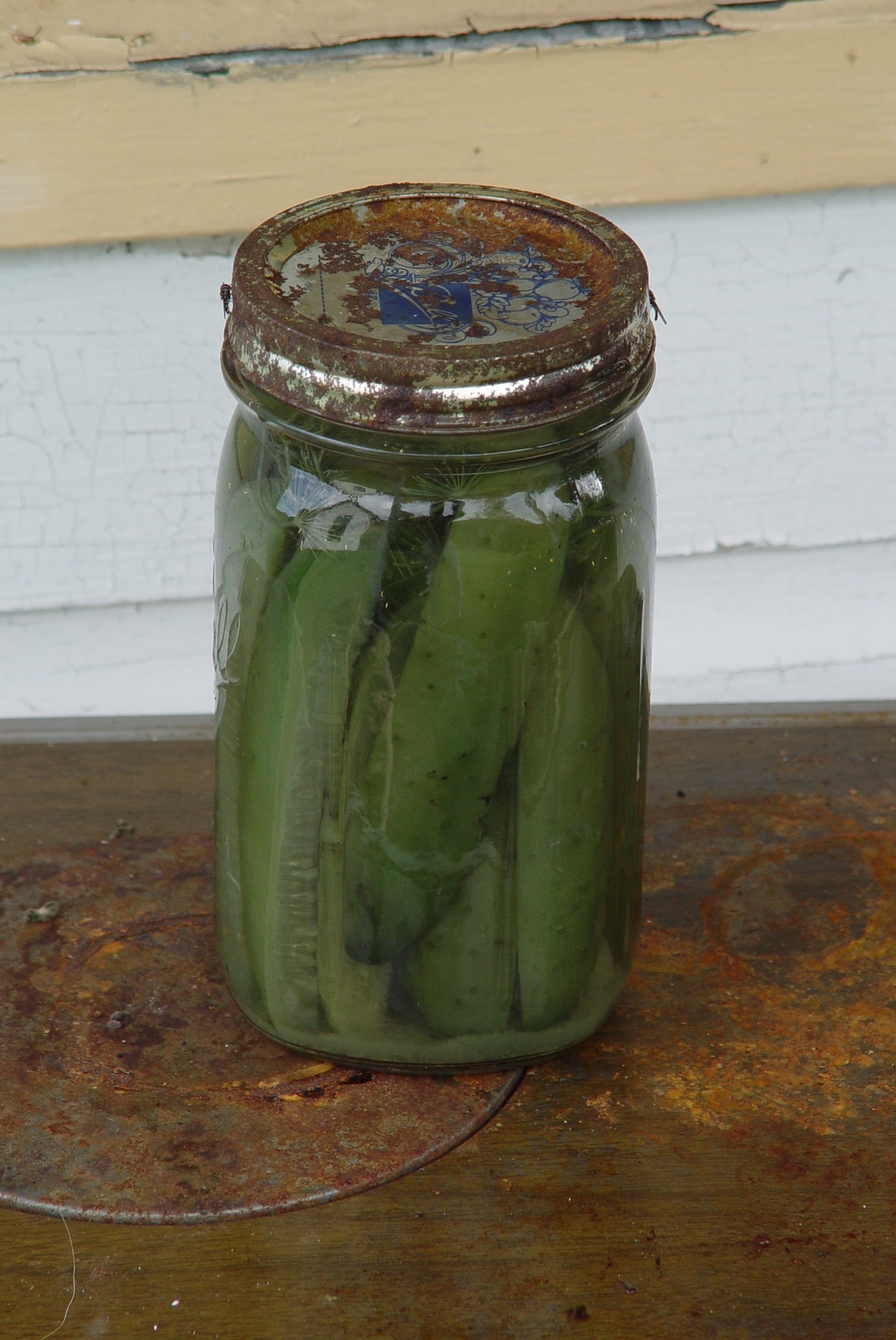 One of the jars of cucumber pickles found upstate at the old farmstead. They’d been sitting like this for at least 10 years.  ANDREW MESSINGER