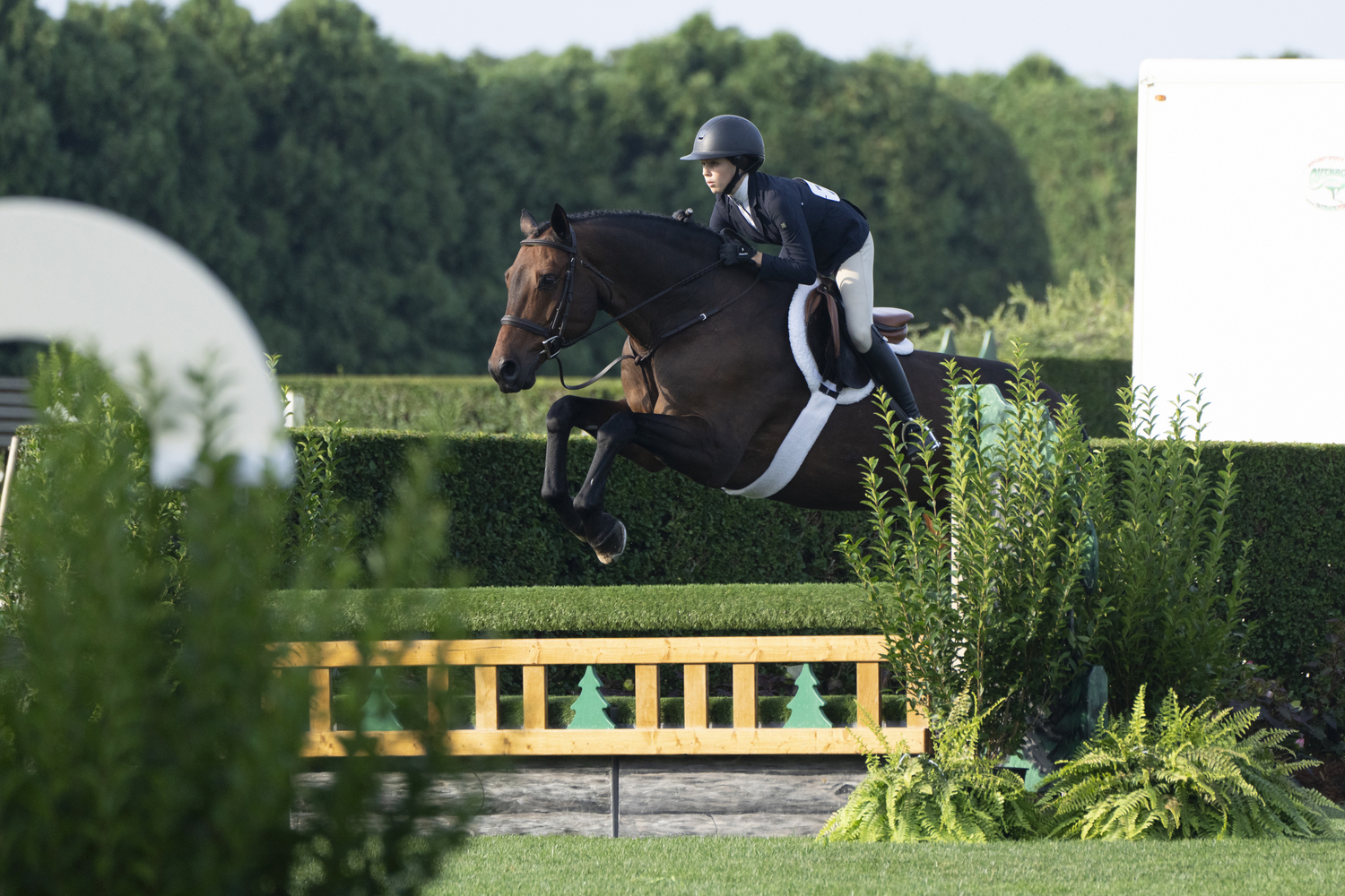 Eva Tucci on her mount Cambridge riding in the $200 Local Junior Hunter Class at the Hampton Classic on Sunday.   LORI HAWKINS