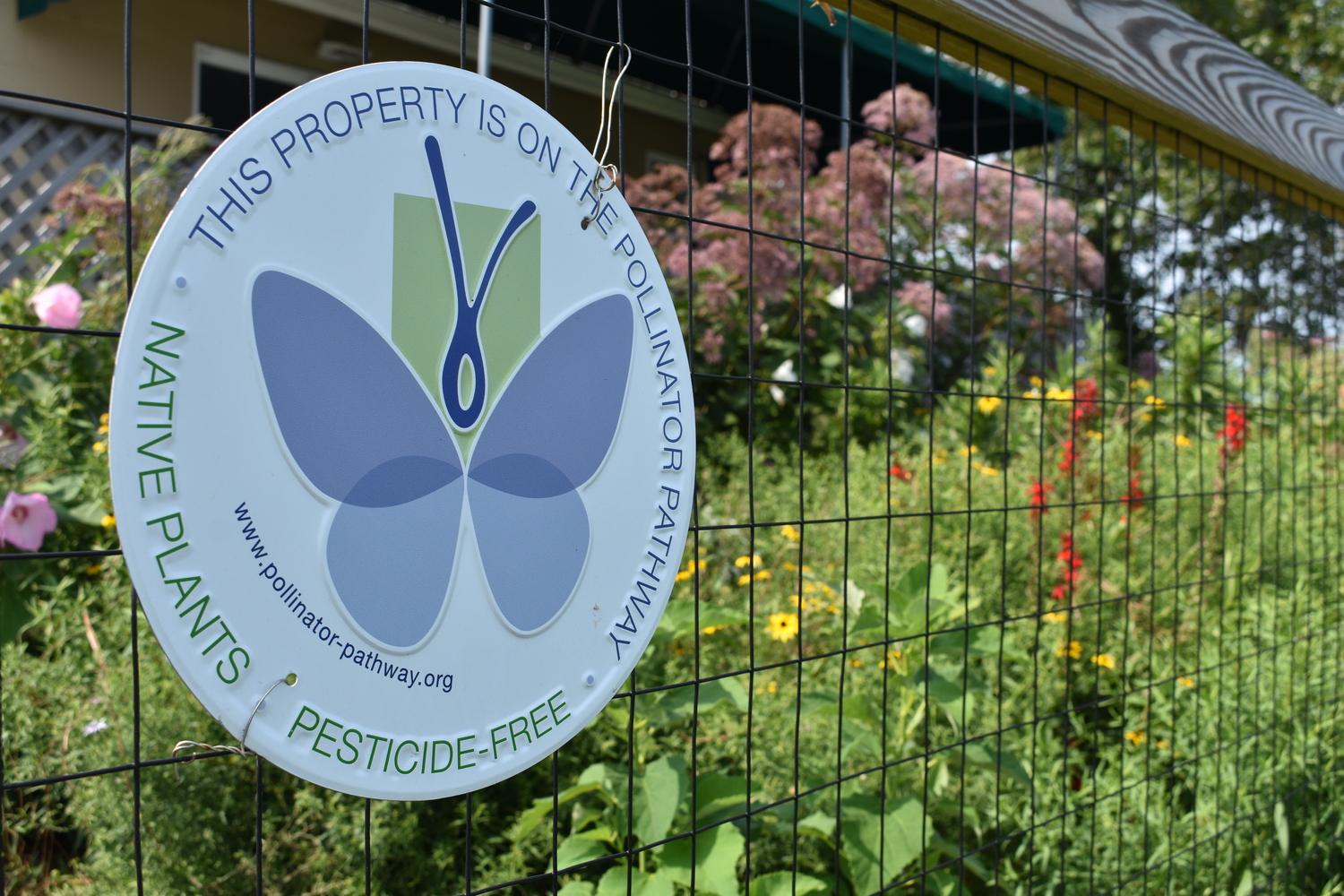 A placard noting that the East Quogue Pollinator Garden is on a Pollinator Pathway, public and private pesticide-free corridors of native plants that provide nutrition and habitat for pollinating insects and birds. BRENDAN J. O'REILLY