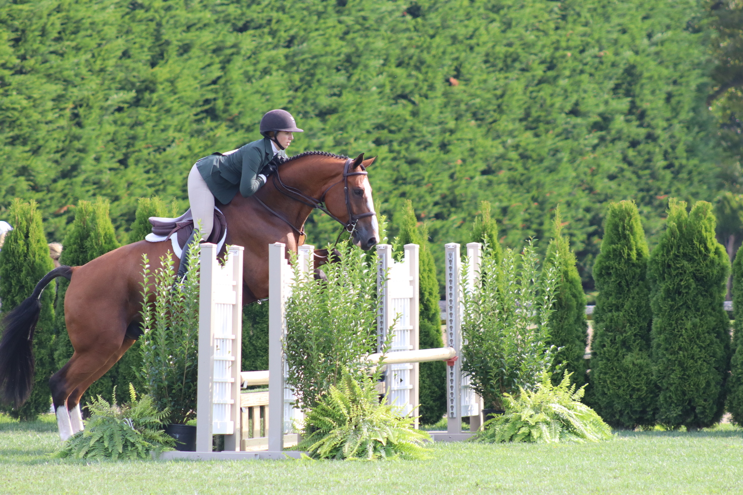 Jacqueline Shilen and Emerald City in the adult equitation. CAILIN RILEY