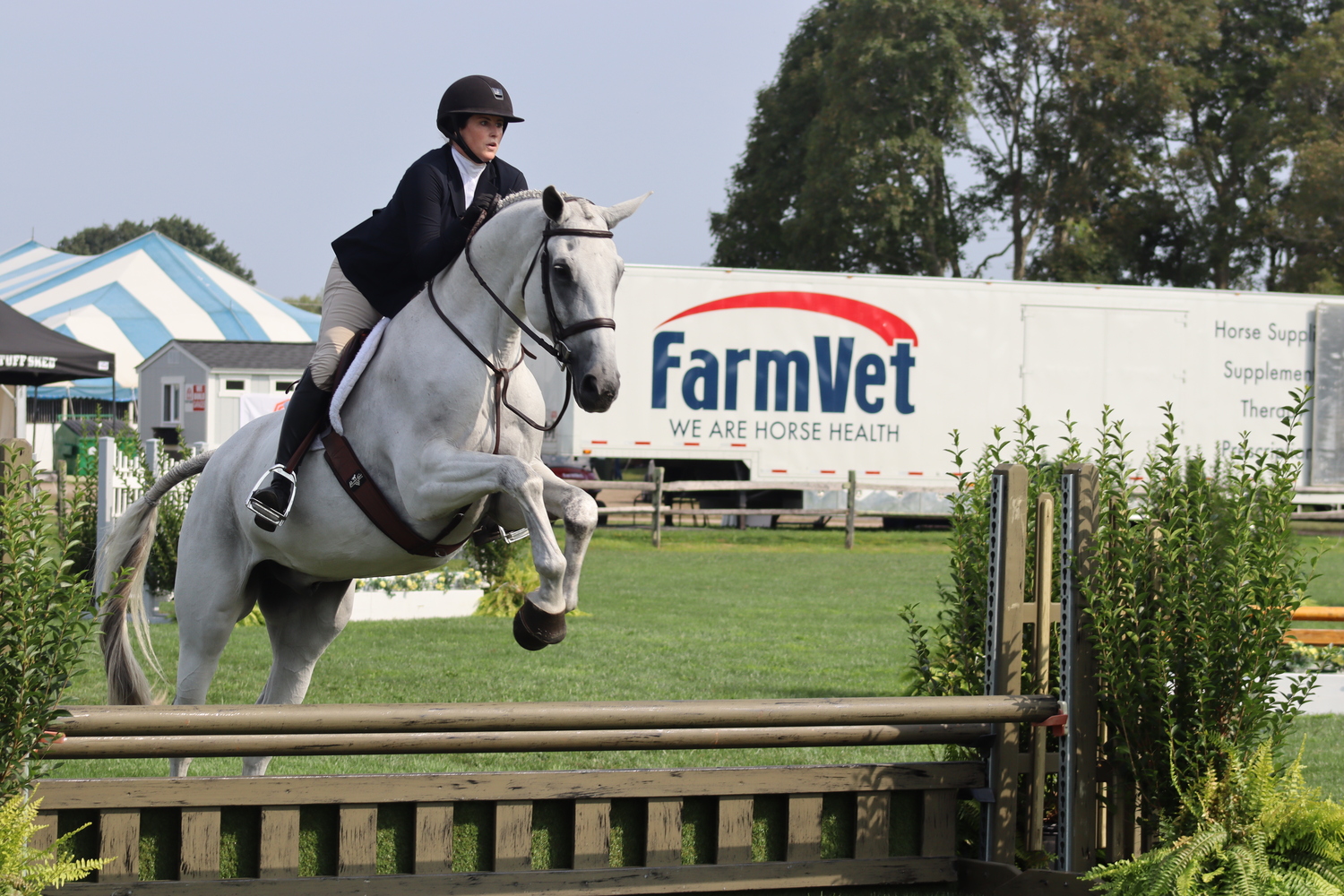 Kelly Sleece and Inspired in the adult equitation. CAILIN RILEY