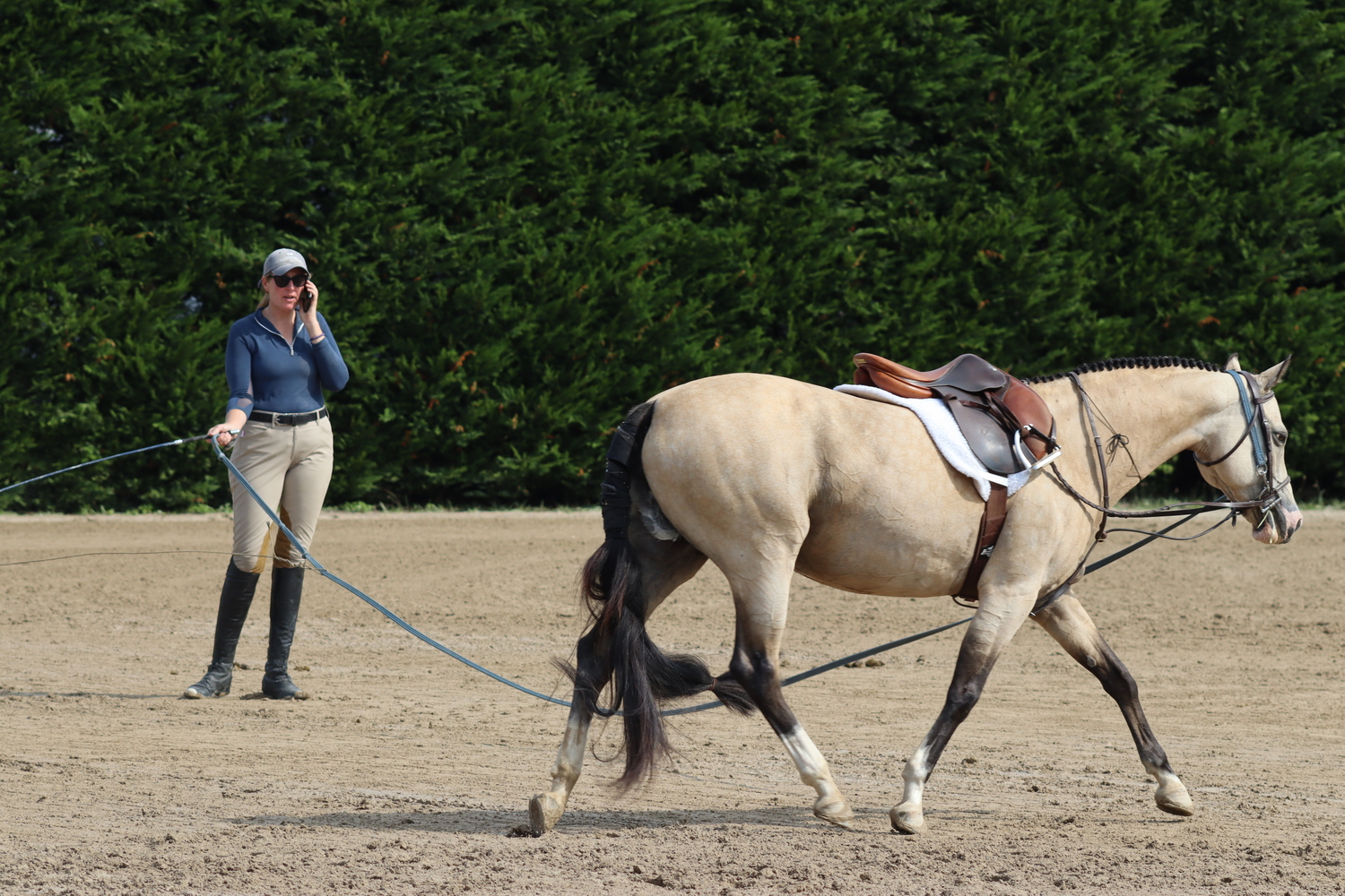 Multitasking in the lungeing area. CAILIN RILEY