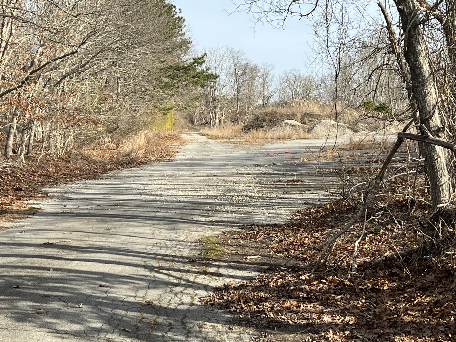 The site of the proposed solar array on Quiogue. The property, once a department of public works yard, is owned by the Village of Westhampton Beach, which leased it to solar developer last year.  BILL SUTTON