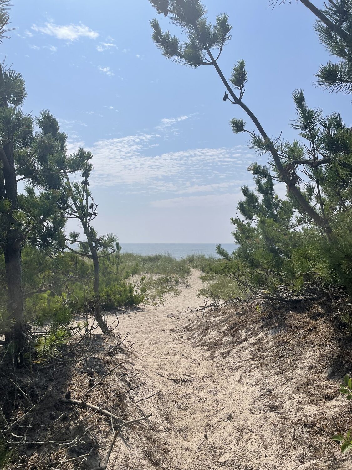 The beach access point labeled Shinnecock off Meadow Lane in Southampton. CAILIN RILEY