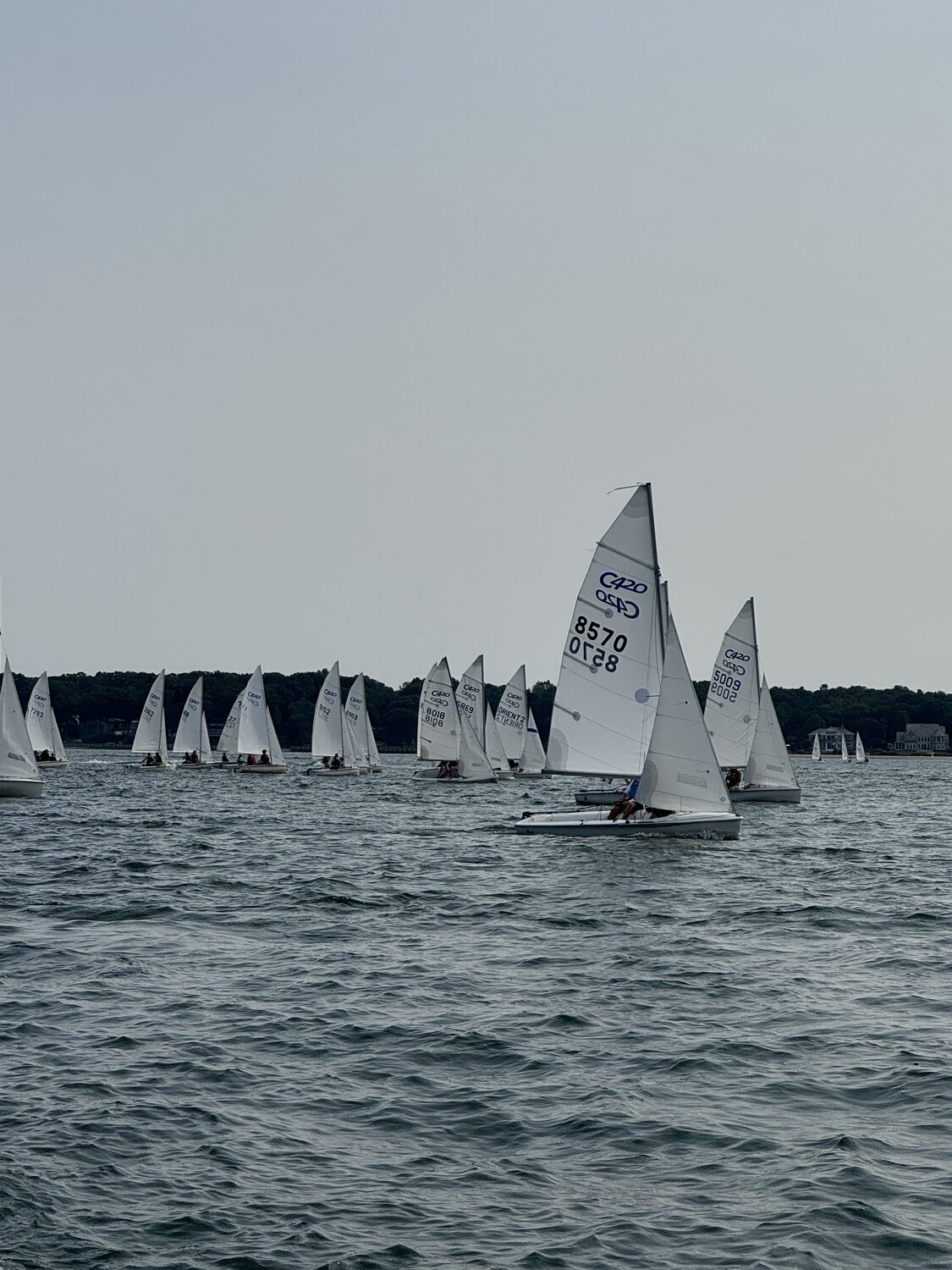 Southold Yacht Club hosted this year's PGJSA Championships on Thursday, August 15.   COURTESY SOUTHOLD YACHT CLUB