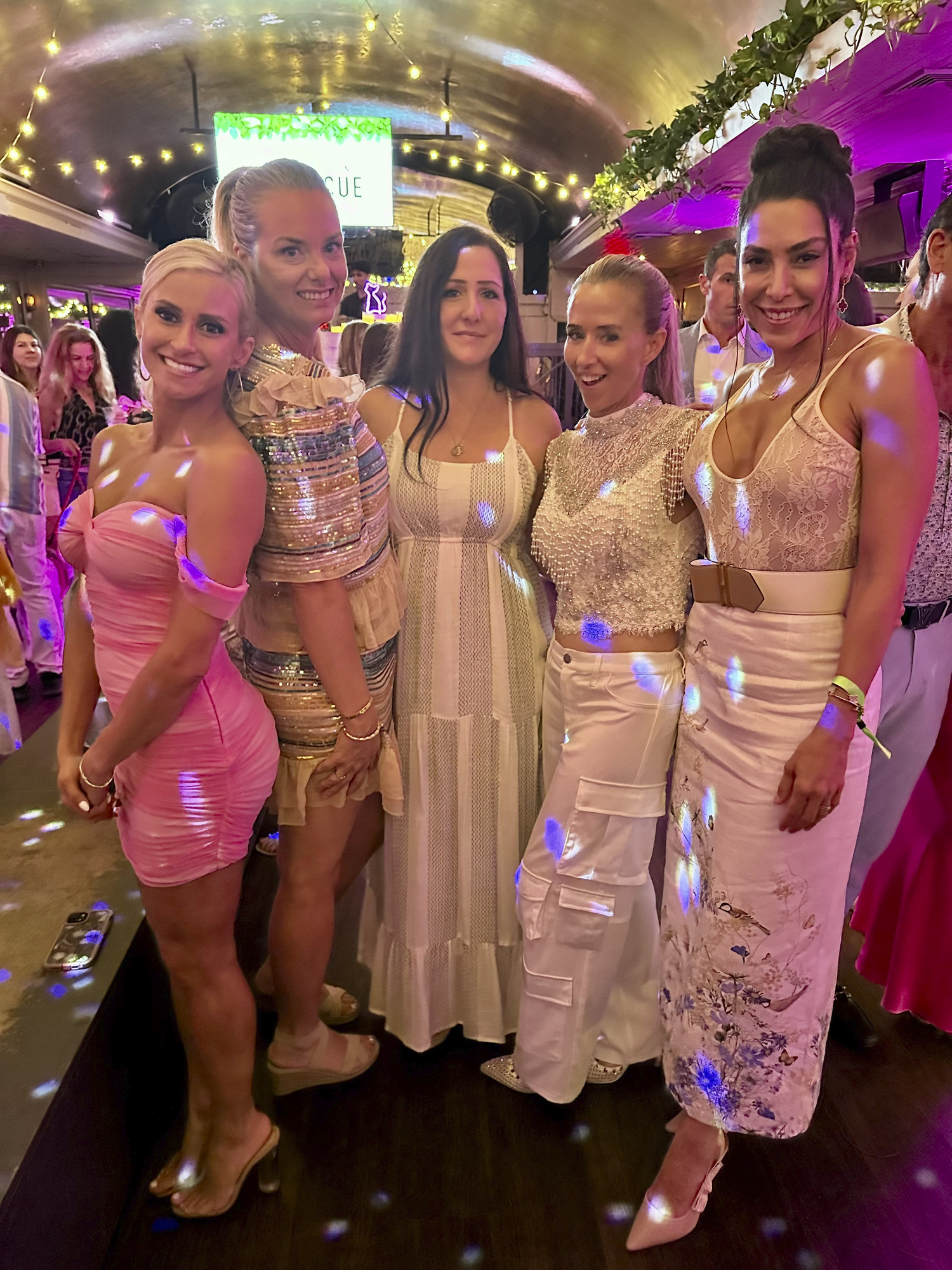 Lisa Blanco, Kate McEntee, Lisa Rose, Jennifer Brooks and Shouka Mani at the NYC Second Chance Rescue Party.   GREGORY D'ELIA