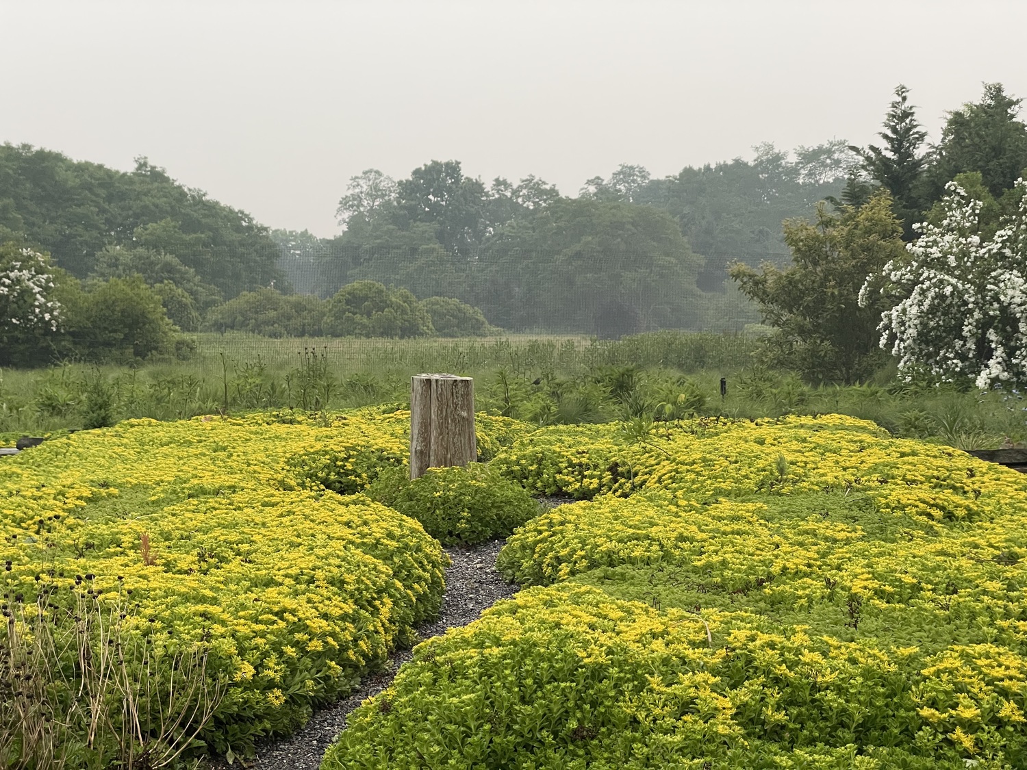 From Native Plants to the Tropics: Landcraft Garden Foundation Has It All