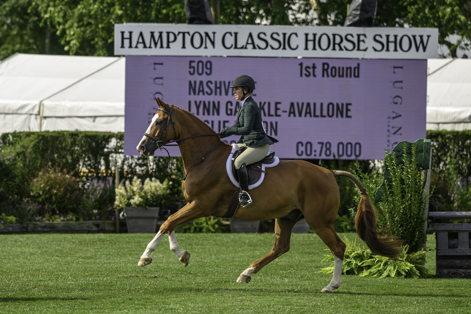 Lynn Gaekly-Avallone showing Leslie Lipton's horse, Nashville. MARIANNE BARNETT