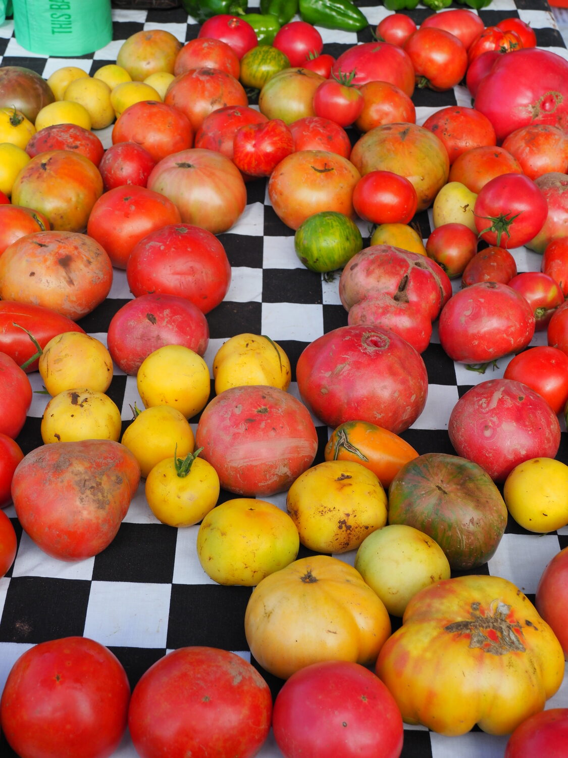 And when it rains, it pours tomatoes. Don’t write off those with blemishes as these are perfect for stewing, dicing, saucing, pureeing and juicing, but not freezing.  ANDREW MESSINGER