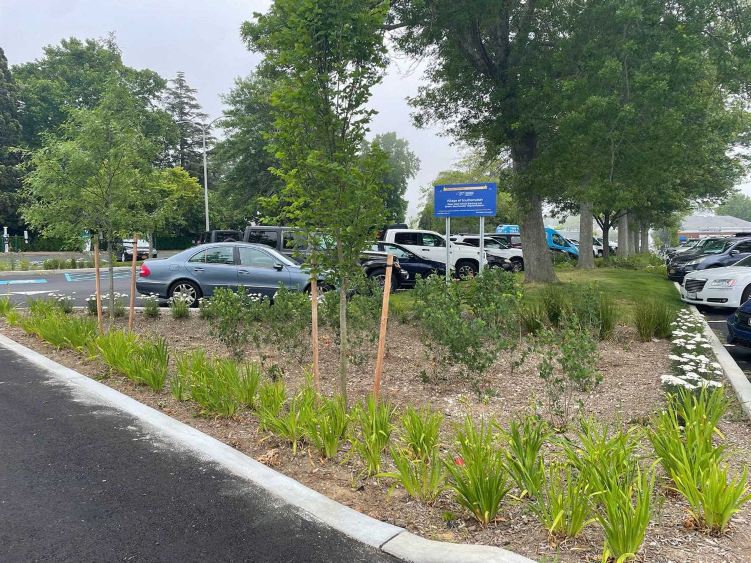 The West Main Street bioswale. COURTESY LAKE AGAWAM CONSERVANCY