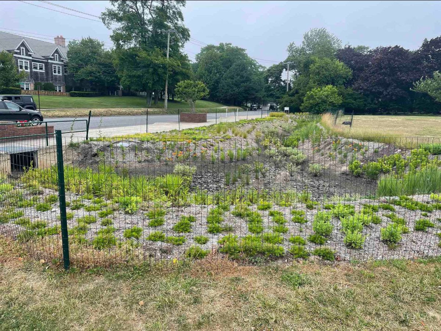 The recently installed bioswale at the corner of Windmill Lane and Nugent Street. COURTESY LAKE AGAWAM CONSERVANCY