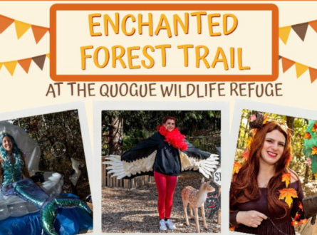 Enchanted Forest Trail at Quogue Wildlife Refuge