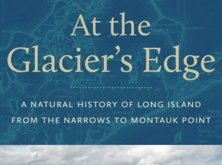 LongHouse Talks: Betsy McCully, At the Glacier's Edge