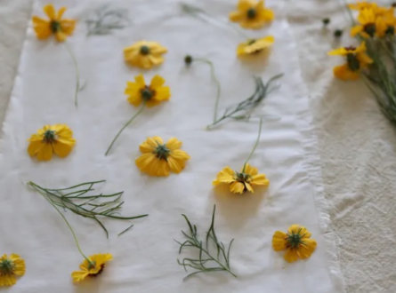 Flower Dying Fabric Workshop