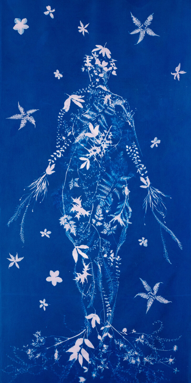 Andrea Cote “Herb Woman,” side 1. Cyanotype on cotton sheet, 2024. 60” x  30.” COURTESY THE ARTIST