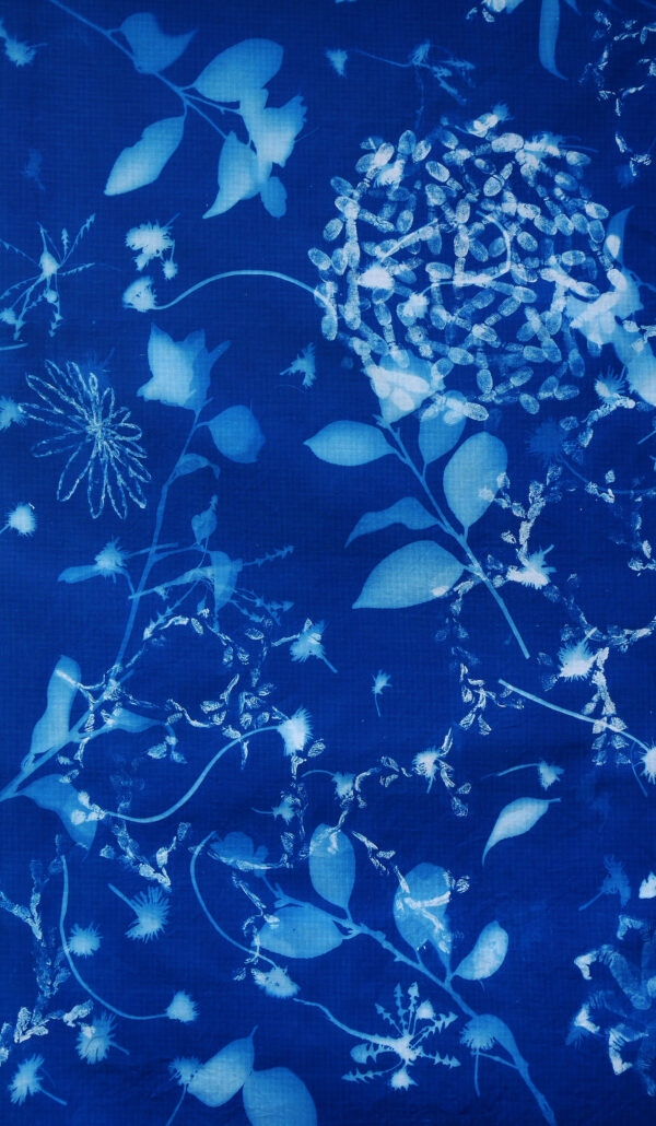 Andrea Cote “May Day 2024” (detail). Cyanotype on cotton sheet, 2024. 64” x  30.” COURTESY THE ARTIST