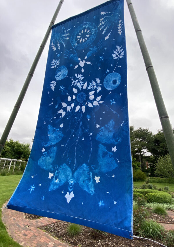 Andrea Cote “Plexus” (garden installation shot). Cyanotype on cotton sheet, 2024. 60” x 30.