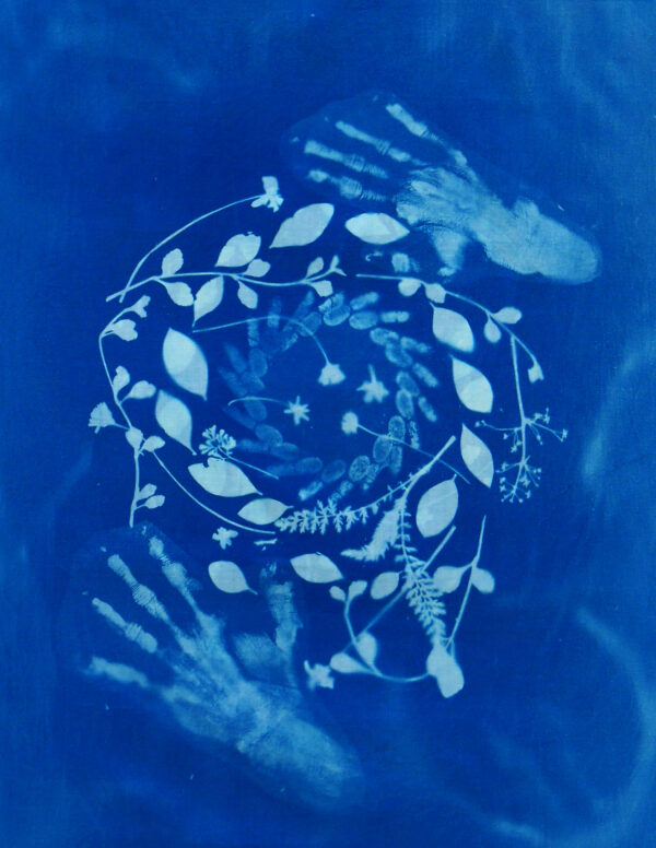 Andrea Cote “Whorl.” Cyanotype on cotton sheet, 2024. 30” x 28.