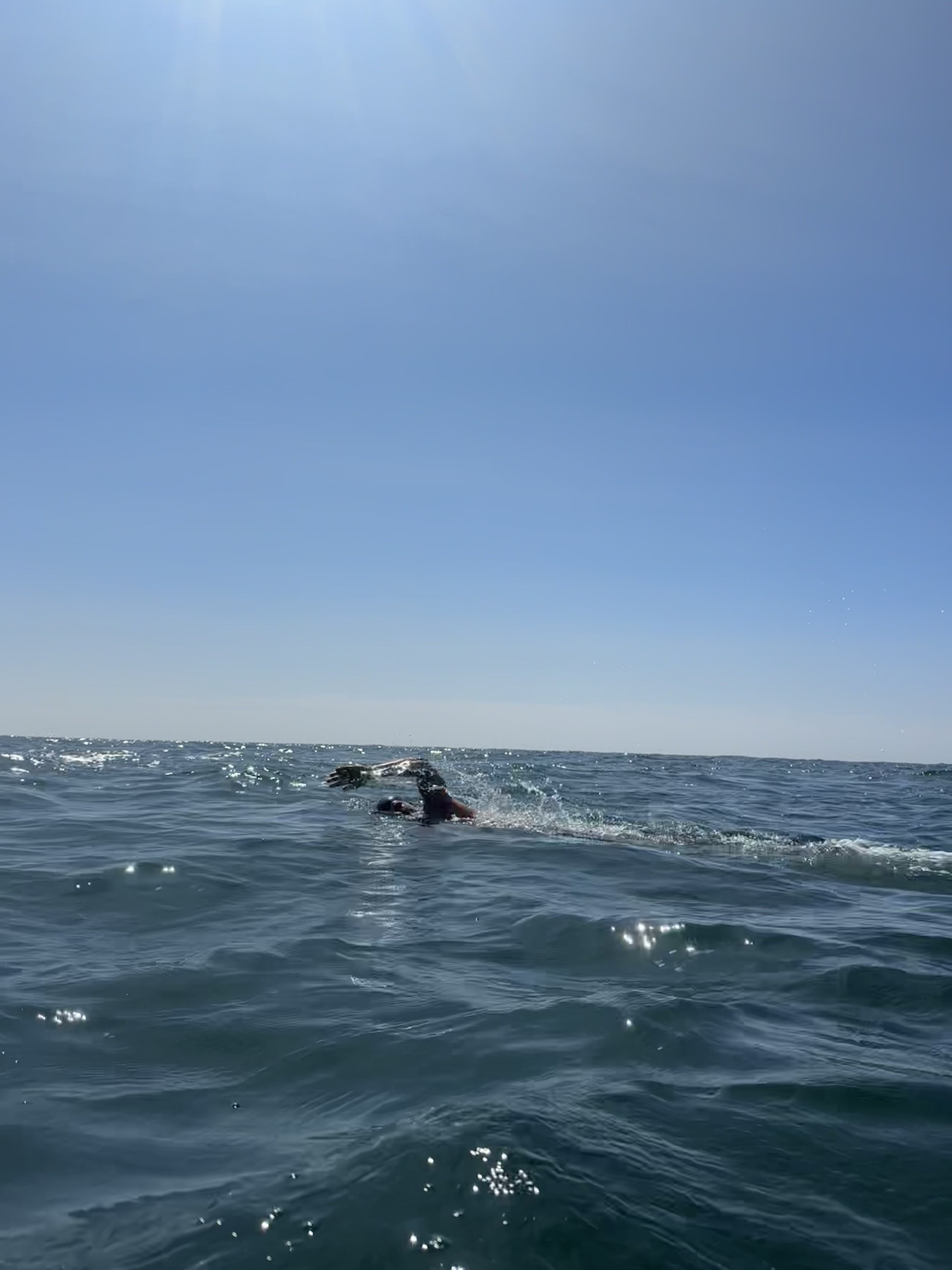 A swimmer's arm, mid stroke, somewhere between Montauk Point and Block Island. COURTESY DAWGPATCH BANDITS