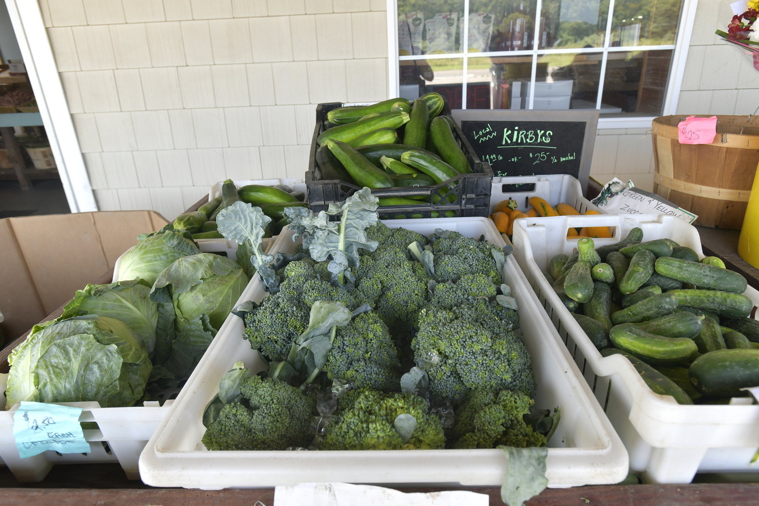 Lenny Bruno Farms in Manorville.  DANA SHAW