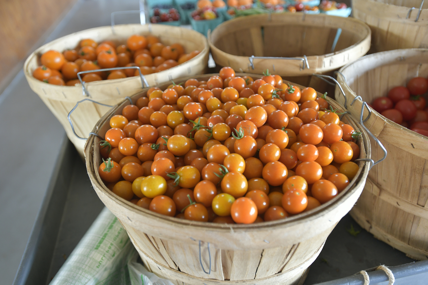 Lenny Bruno Farms in Manorville.  DANA SHAW